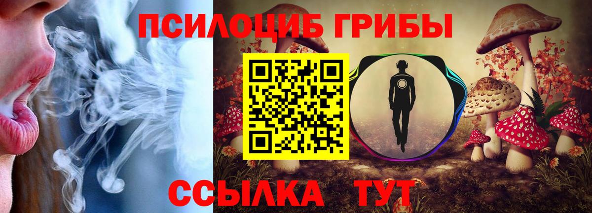 Новоуральск  где можно купить наркотик  Вход с VPN  Псилоцибиновые грибы Cubensis  Псилоцибиновые грибы Psilocybine cubensis 